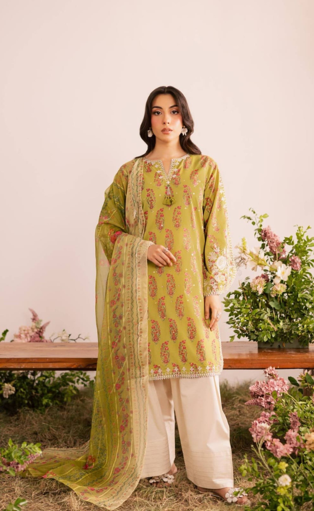 Gulnaar Farshi Salwar Set