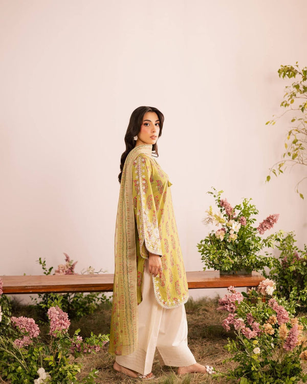 Gulnaar Farshi Salwar Set